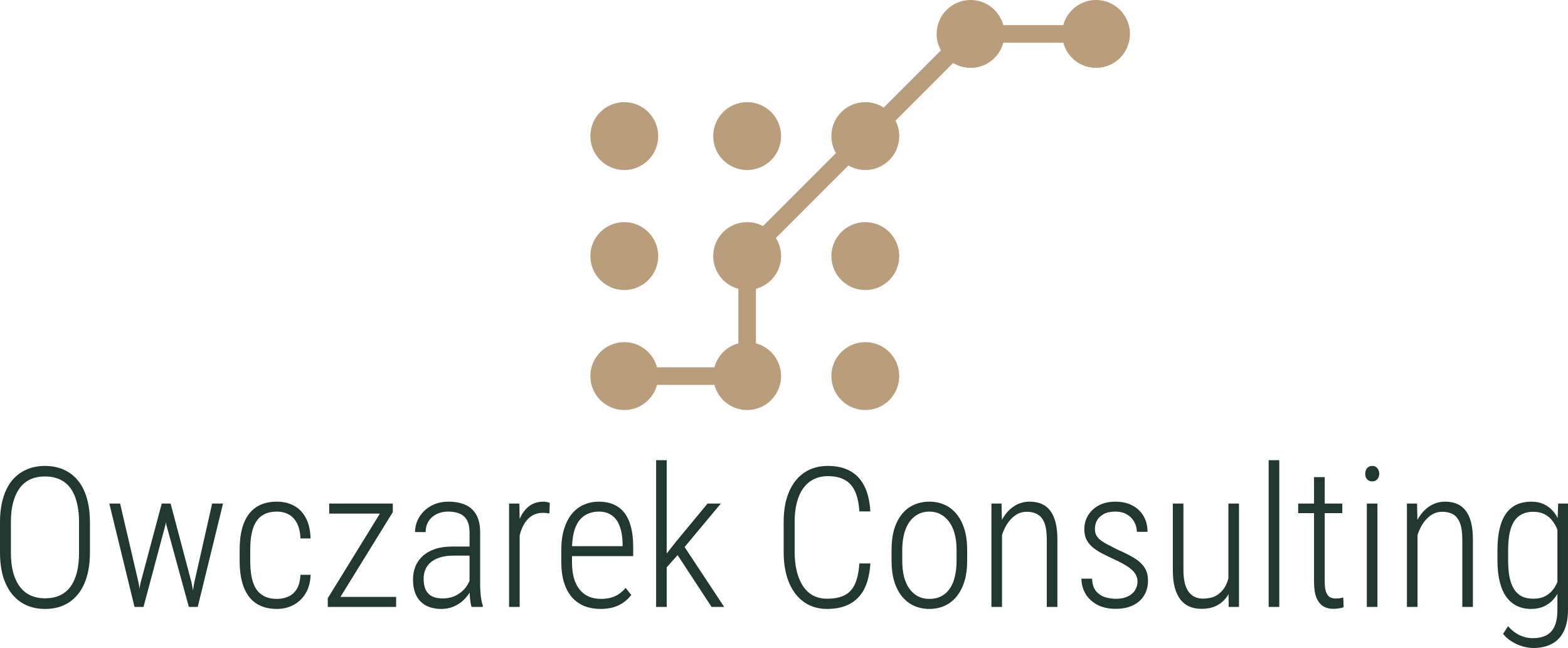 Owczarek Consulting logo